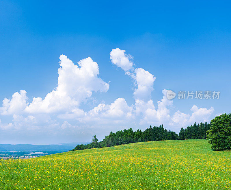 春天的风景72MPix XXXXL绿色的田野，蓝色的天空